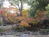 DSCF5449