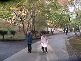 DSCF5453